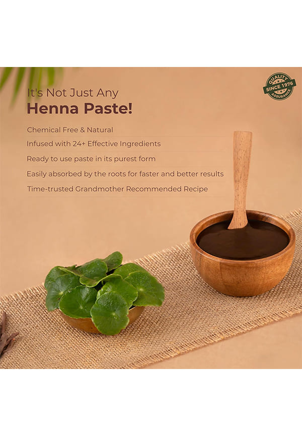Bio Organic Herbal Henna Ready to Apply Paste – thumbnail 5