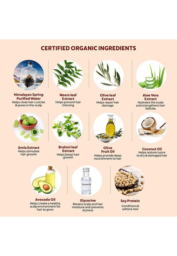 Organic Gentle Daily Nourishing 2-in-1 Shampoo and Conditioner – thumbnail 5