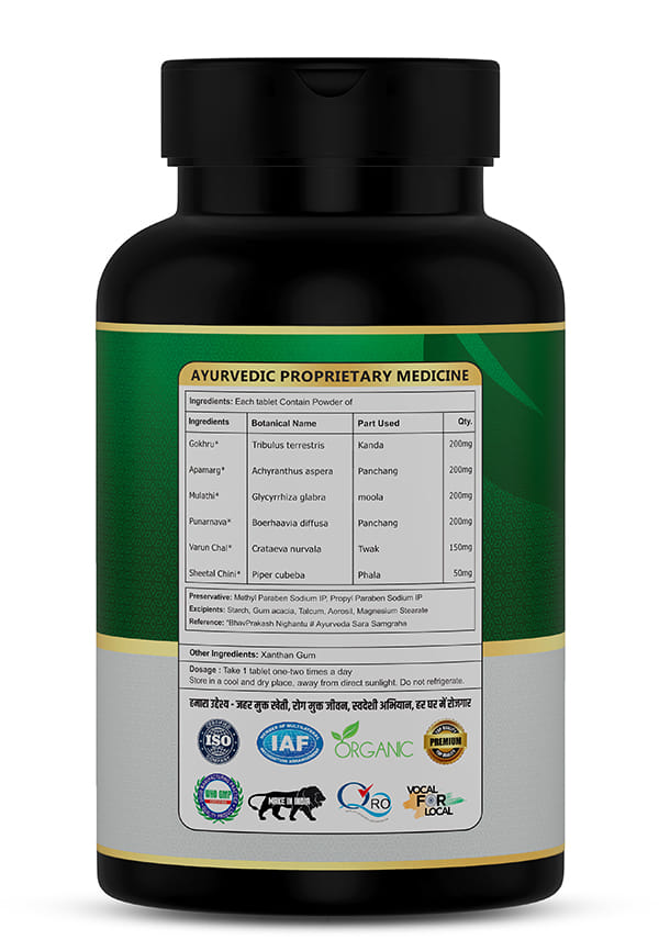 Dr. Kidney Care DS Tablets | Ayurvedic Herbal Supplement for Kidney Health – thumbnail 2