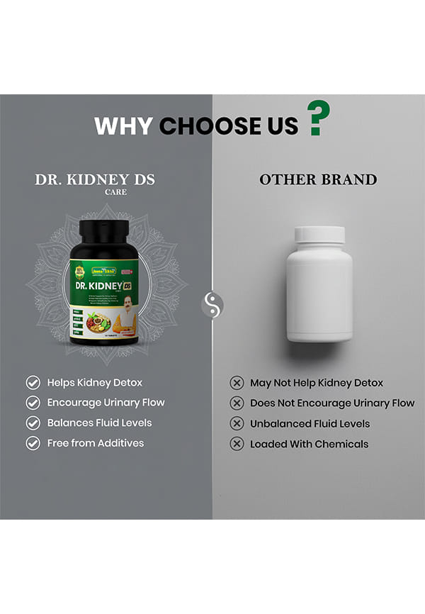 Dr. Kidney Care DS Tablets | Ayurvedic Herbal Supplement for Kidney Health – thumbnail 5