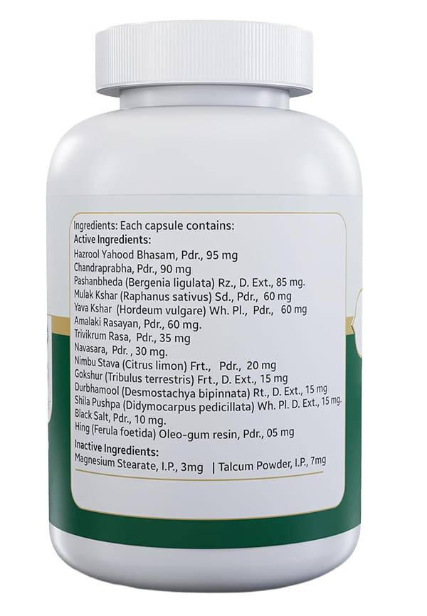 Nefron Plus/Kidney Care Capsules | Herbal Kidney Wellness Capsules | Herbally Blended With Pashanbheda, Gokshur And Shila Pushpa, 60 Capsules – thumbnail 2