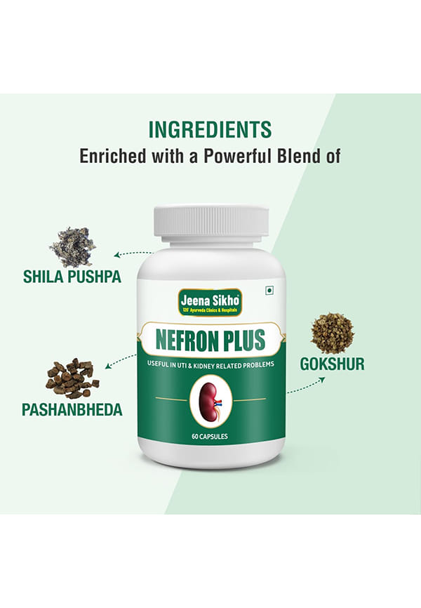 Nefron Plus/Kidney Care Capsules | Herbal Kidney Wellness Capsules | Herbally Blended With Pashanbheda, Gokshur And Shila Pushpa, 60 Capsules – thumbnail 3