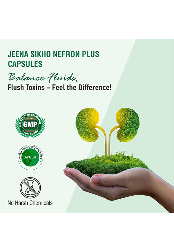 Nefron Plus/Kidney Care Capsules | Herbal Kidney Wellness Capsules | Herbally Blended With Pashanbheda, Gokshur And Shila Pushpa, 60 Capsules – thumbnail 4