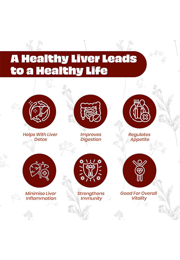 GE-LIV Forte/Liver Syrup – thumbnail 3