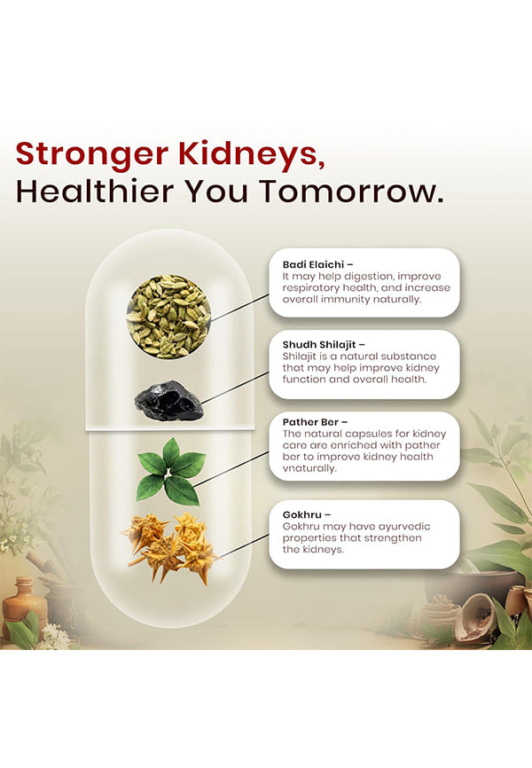 Stoni | Herbal Supplements For Kidney Care – thumbnail 5