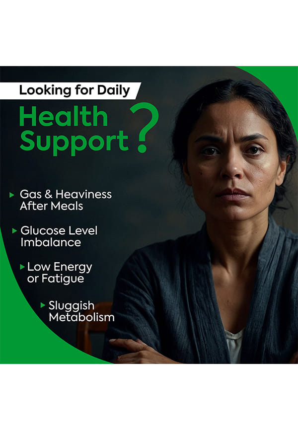 Pet Yakrit Pleeha Shuddhi kit | Pet Yakrit Pleeha, Dr Liver DS Tablets, Dr. BP Care DS Tablet & Dr Madhu Care DS Tablets | Gut, Liver & Blood Pressure Support Supplement | Herbal Diabetes Tablets – thumbnail 4