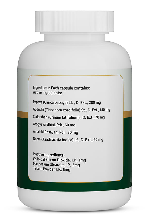 Js-Platojee Capsules | Platelet Increasing Herbal Supplements | Naturally Blended With Papaya, Guduchi, And Neem | Ayurvedic Wellness Multivitamin – thumbnail 2