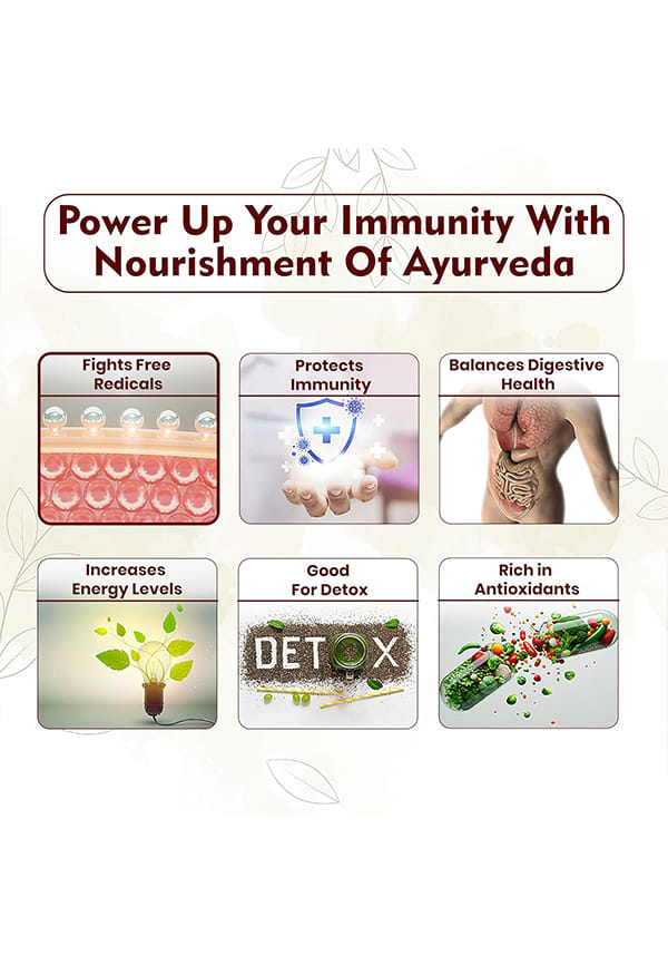 Jeevan Amrit/Immunity Power Syrup | Herbal Immunity Care Supplement – thumbnail 5