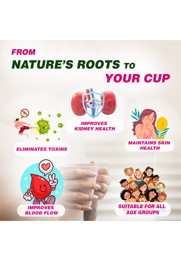 Kidney Healer Ayurvedic Tea | Natural Herbal Tea Kidney Support | Herbal Tea | Herbal Tea For Kidney | Kidney Healer, 60 Sachets, Pack of 2 – thumbnail 3