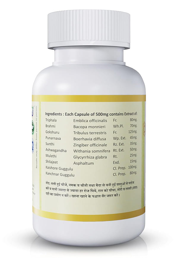 Thyri | Herbal Supplements For Thyroid Care | Naturally Blended With Punarnava, Sunthi, And Ashwagandha | Ayurvedic Remedy For Good Health, 60 Capsules – thumbnail 2