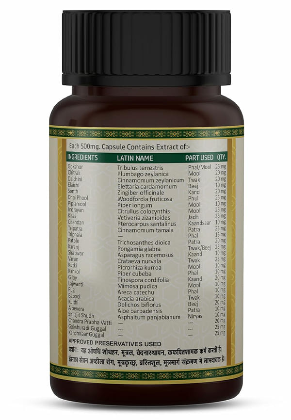 Prosta Relief | Ayurvedic Herbal Capsules with Gokshur, Varun, Shatavar, Chitrak, Dalchini & Elaichi, 60 Capsules – thumbnail 2