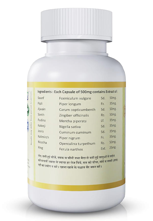 PUT-ON/Weight Gain Capsules – thumbnail 2