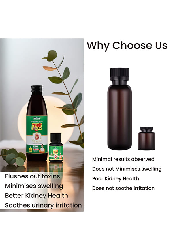 Pathri Shuddhi Combo Pack | Ayurvedic Kidney Stone Care | Natural Support for Kidney & Urinary Health | Helps Flush Toxins, Dissolve Stones & Promote Detox | Sugar-Free Syrup 250ml + 24 Tablets – thumbnail 5