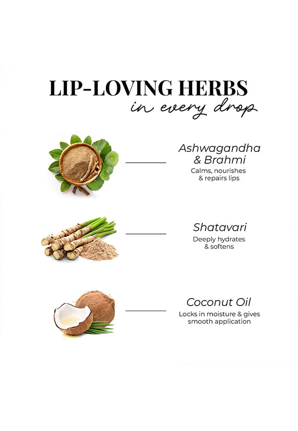 Ayurvedic Liquid Lipstick Kit – thumbnail 4