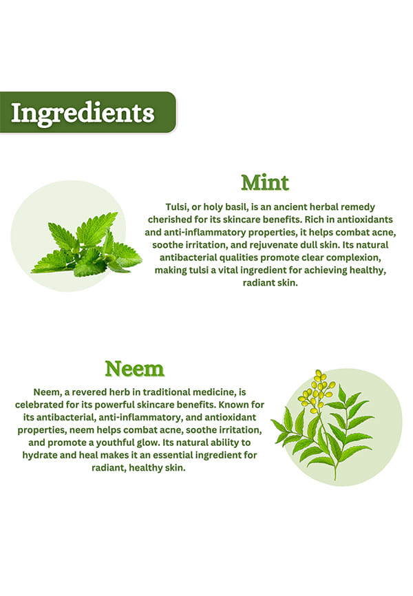 Neem + Mint Face Pack Powder – thumbnail 5