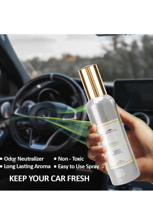 Spring Car Air Freshener – thumbnail 2