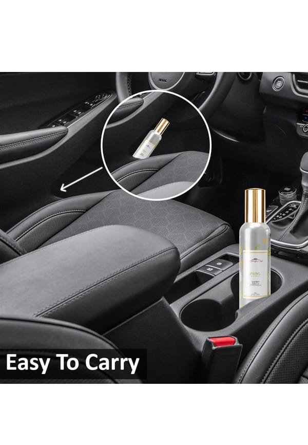 Spring Car Air Freshener – thumbnail 3