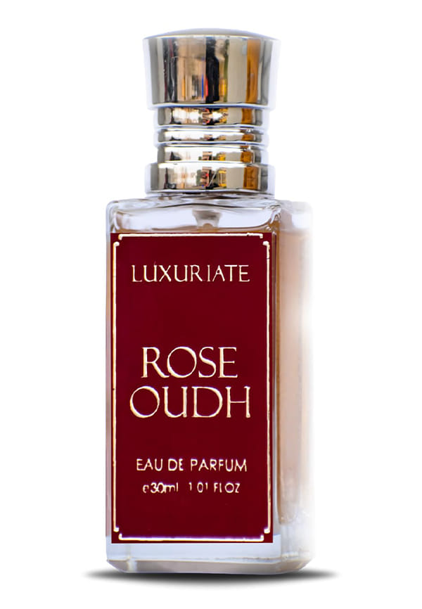 Vivo Eau de Parfum Size: 50 ml By Sugacci