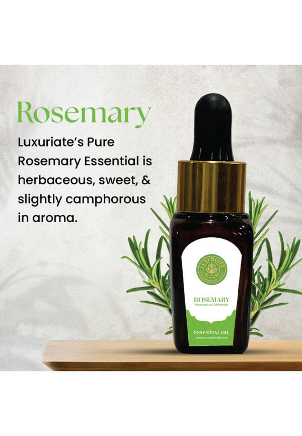Rosemary Essential Oil – thumbnail 2