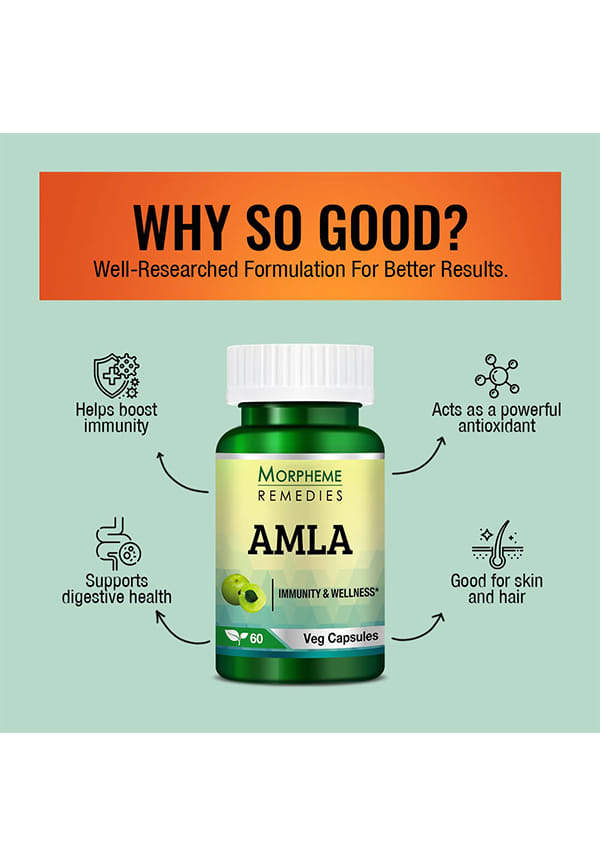 Amla 500Mg Extract – thumbnail 3