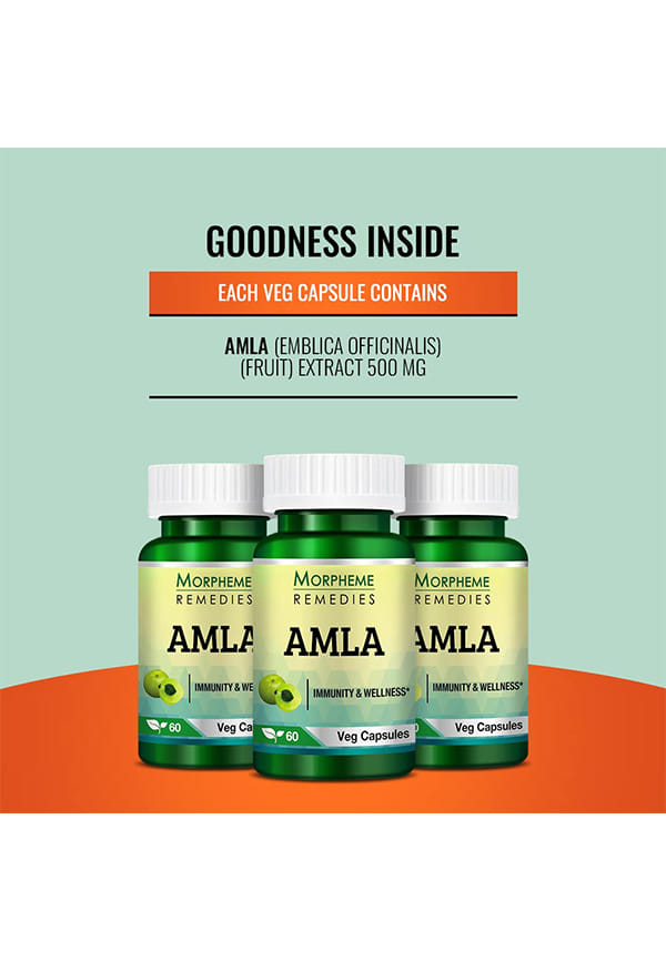 Amla 500Mg Extract – thumbnail 5
