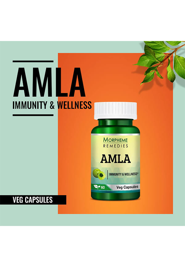 Amla 500Mg Extract – thumbnail 6