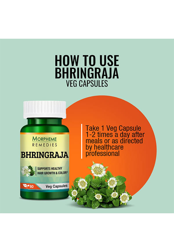 Bhringraja (Eclipta Alba) 500Mg Extract – thumbnail 4