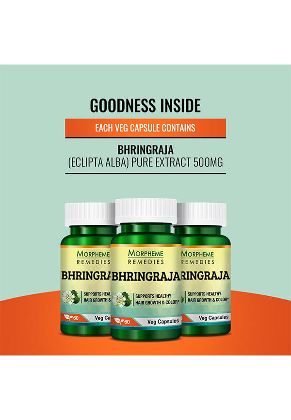 Bhringraja (Eclipta Alba) 500Mg Extract – thumbnail 5