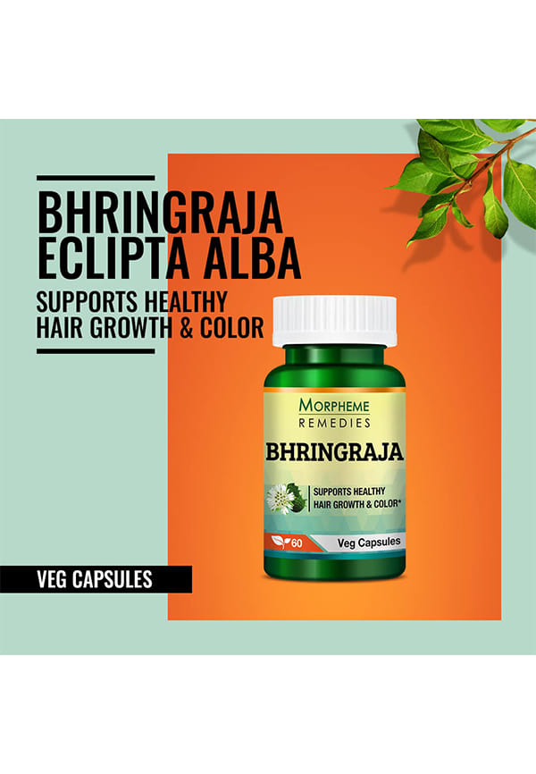 Bhringraja (Eclipta Alba) 500Mg Extract – thumbnail 6