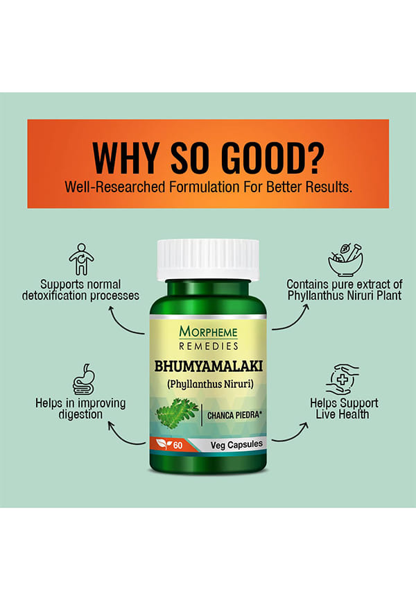 Phyllanthus Niruri (Bhumyamlaki) 500Mg Extract – thumbnail 3