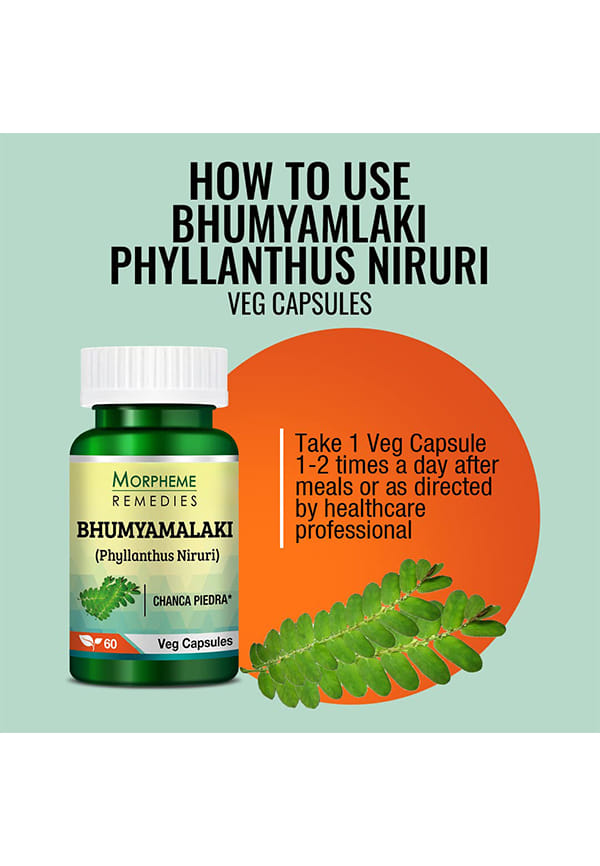 Phyllanthus Niruri (Bhumyamlaki) 500Mg Extract – thumbnail 4