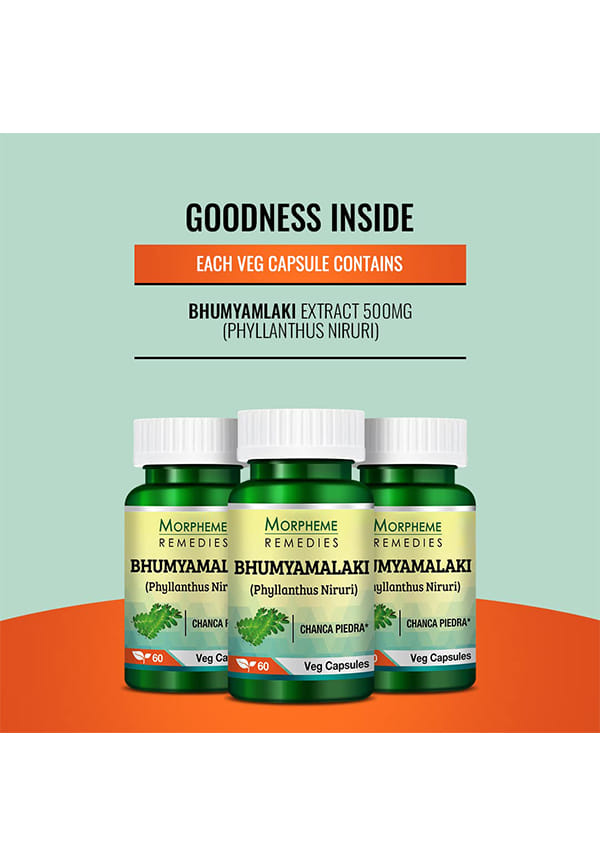 Phyllanthus Niruri (Bhumyamlaki) 500Mg Extract – thumbnail 5