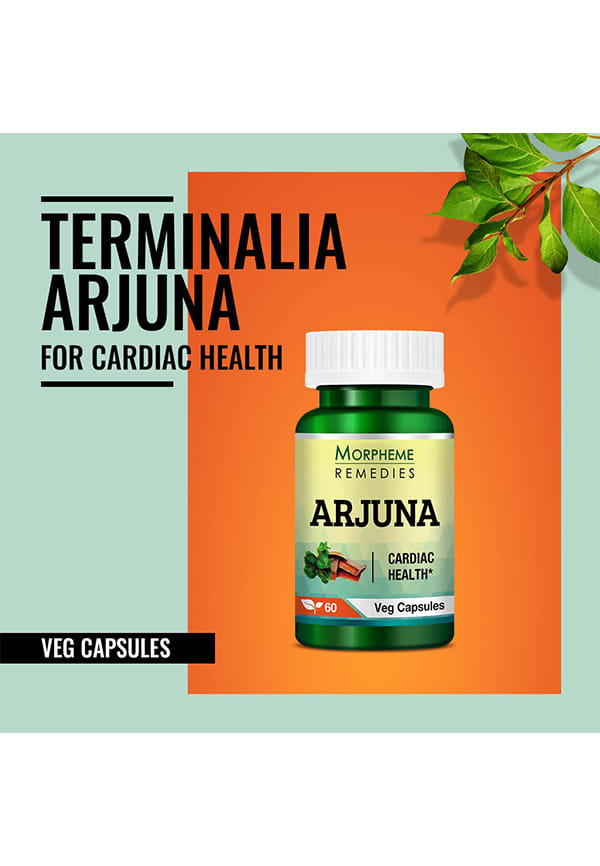 Remedies Terminalia Arjuna 500Mg Extract – thumbnail 6