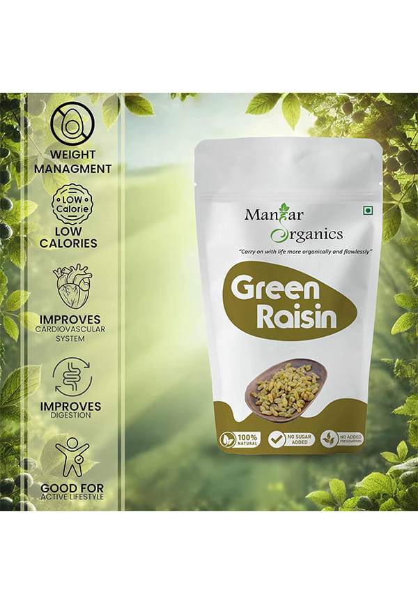 Green Raisins (Kishmish) Jar | Dried Seedless | Super Long Raisins | Nutritious | Rich in Iron & Vitamin B – thumbnail 6