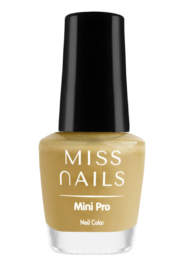 Mini Pro
