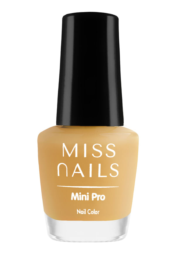 Mini Pro