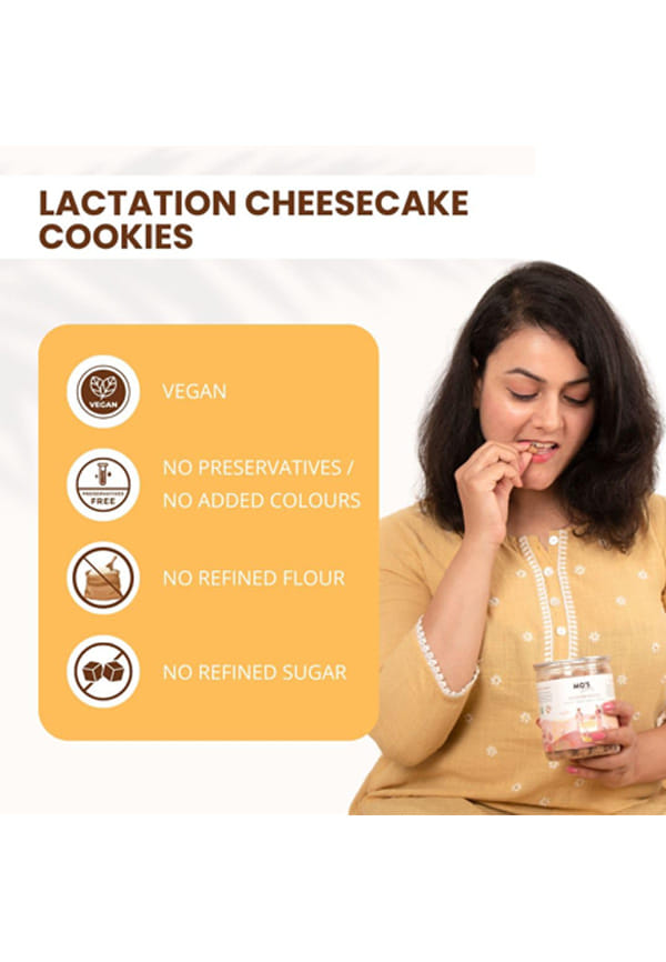 Lactation Cookies Cheesecake – thumbnail 3