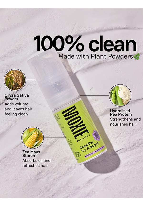 Cheat Day Dry Shampoo – thumbnail 5