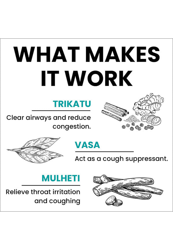 Kaphaja Respiratory Support Capsule by Ayurveda – thumbnail 2