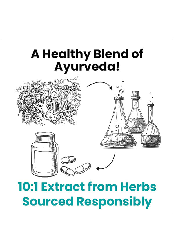 Kaphaja Respiratory Support Capsule by Ayurveda – thumbnail 4