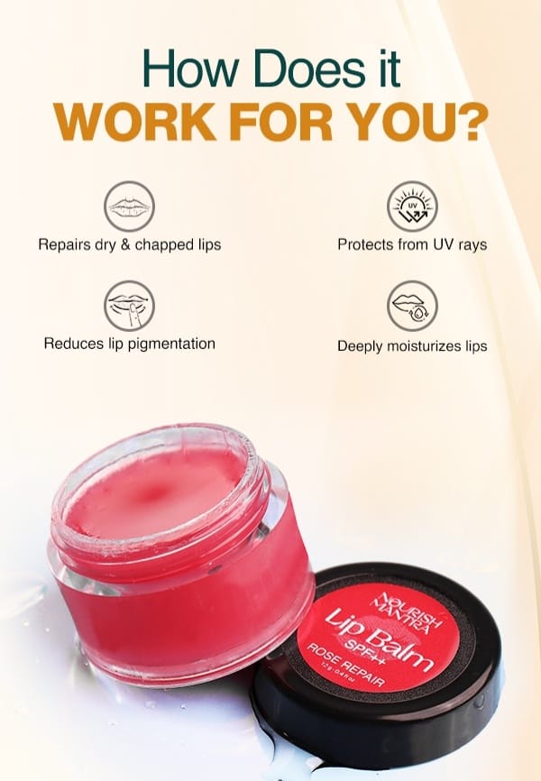 Rose Repair Lip Balm for Dry, Chapped and Dark Lips - 12 gm – thumbnail 5
