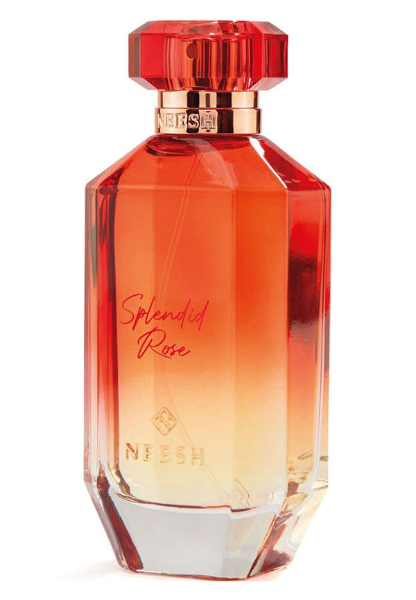 SPLENDID ROSE SPLENDID ROSE