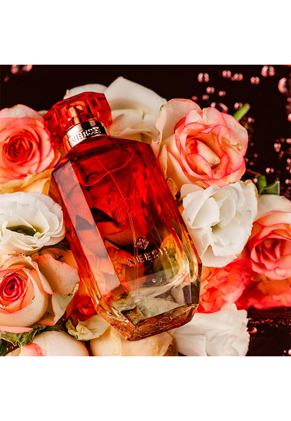 SPLENDID ROSE – thumbnail 3