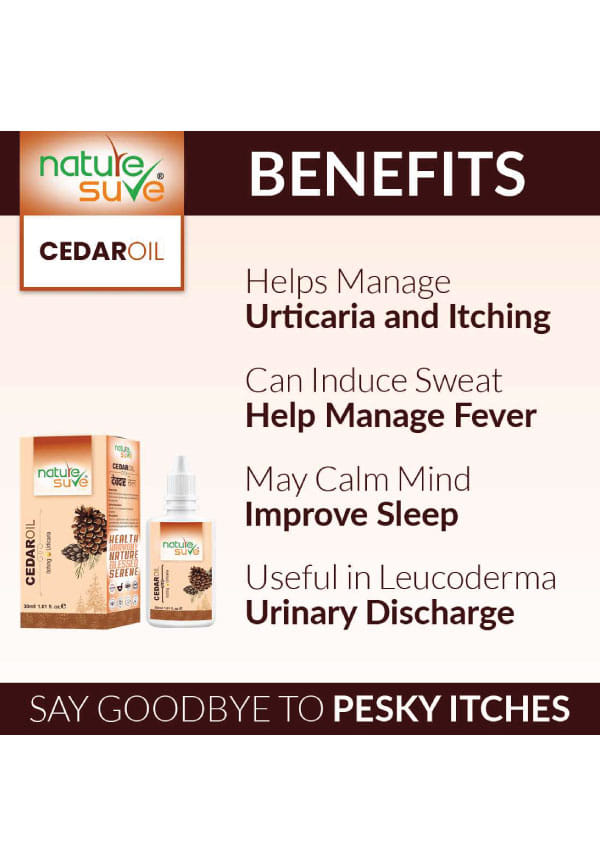 Cedar Oil Deodar Oil For Itching And Urticaria – thumbnail 2