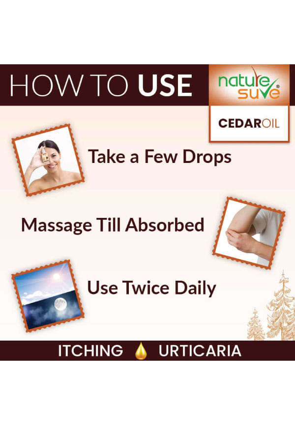 Cedar Oil Deodar Oil For Itching And Urticaria – thumbnail 4
