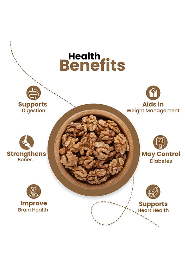 Regular Walnut Kernels – thumbnail 4