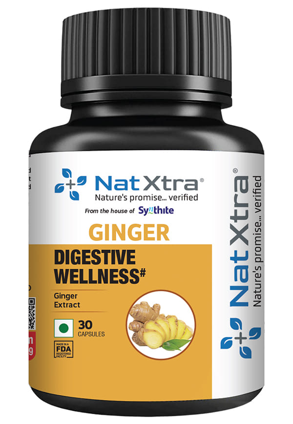 Ginger | Natural Digestive Support