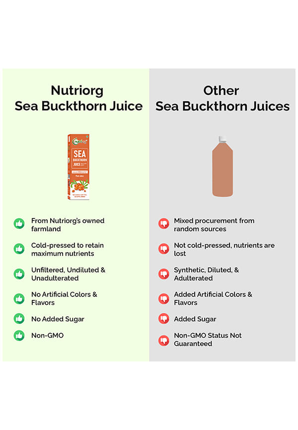 Sea Buckthorn Juice – thumbnail 7