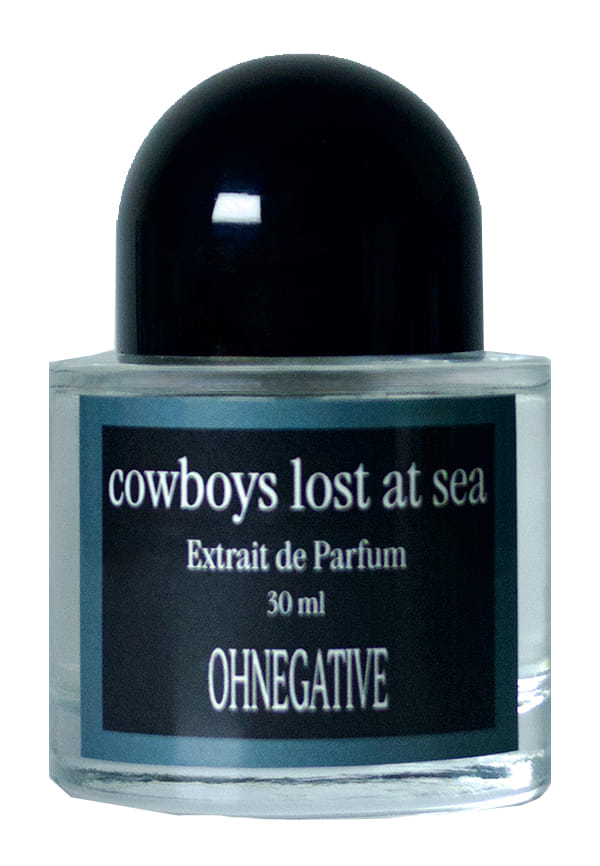 Cowboys Lost at Sea
