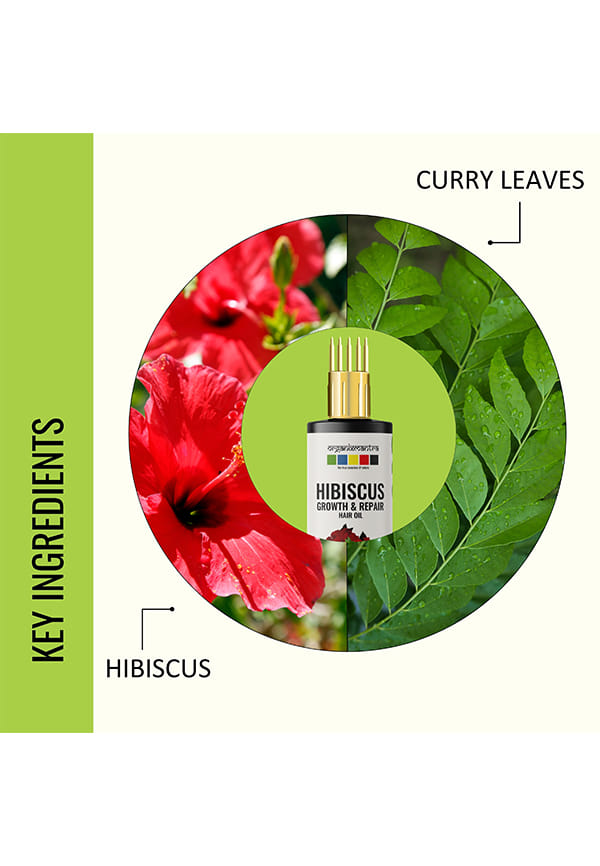 Hibiscus & Curry Leaves Hair Oil | Advanced Follicle Activation – thumbnail 4